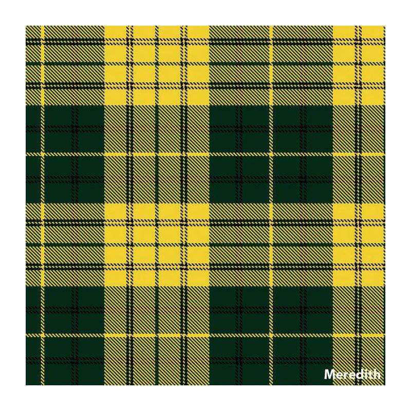 Meredith Of Wales Tartan Kilt